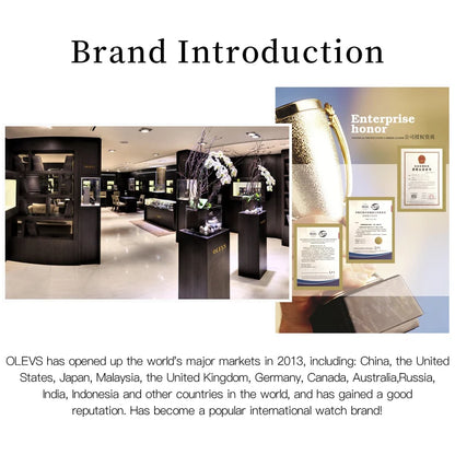 OLEVS 8697 Luxury Elegant Quartz Women's Watch Tungsten Steel Strap Fashion Waterproof Calendar Diamond dial Women's Watch